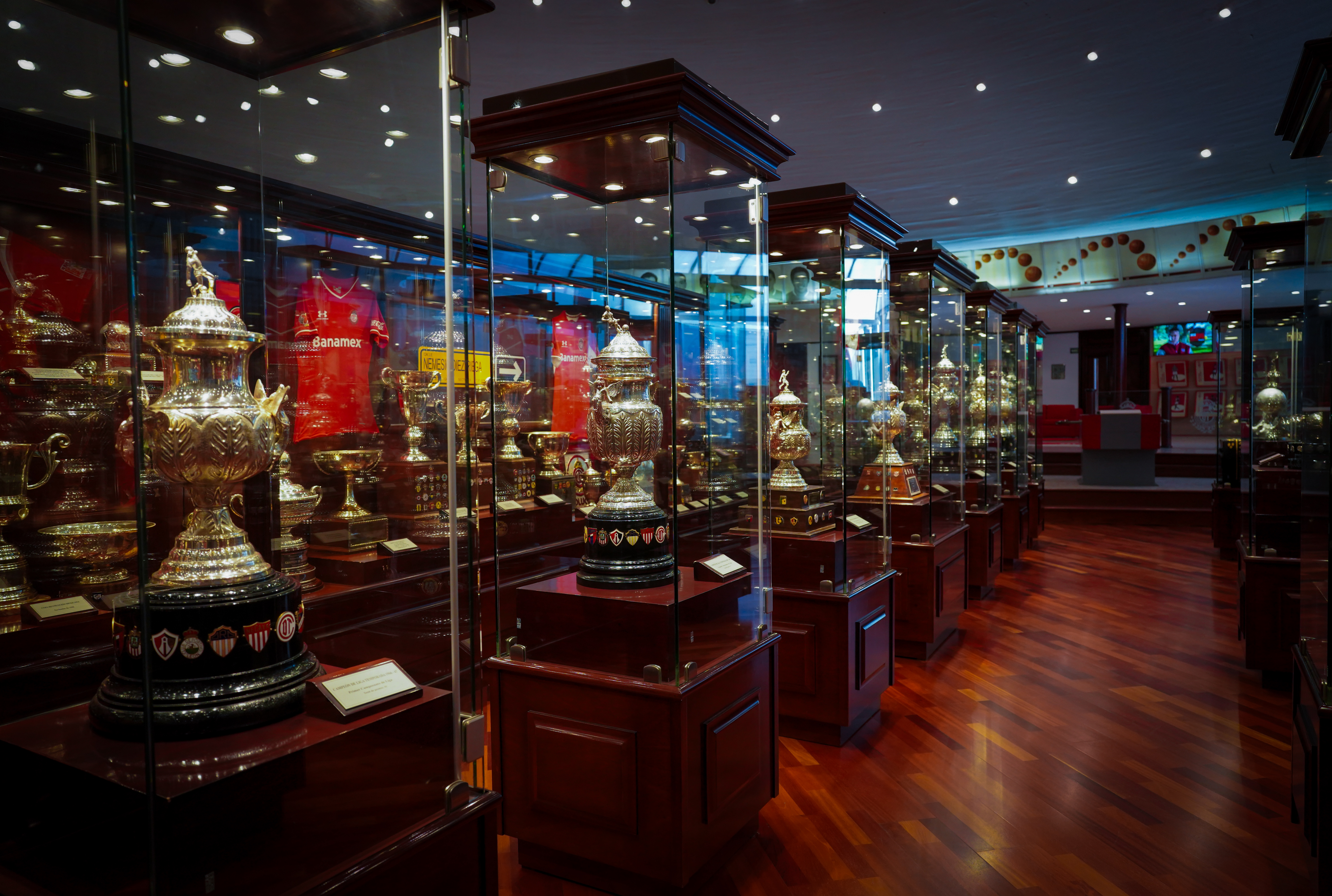 Museo Salón de la Fama Deportivo Toluca